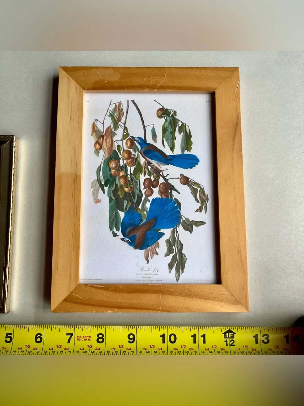 Vintage Wood and Brass Picture Photo Frames w/ Fine Art Prints-Set of 2